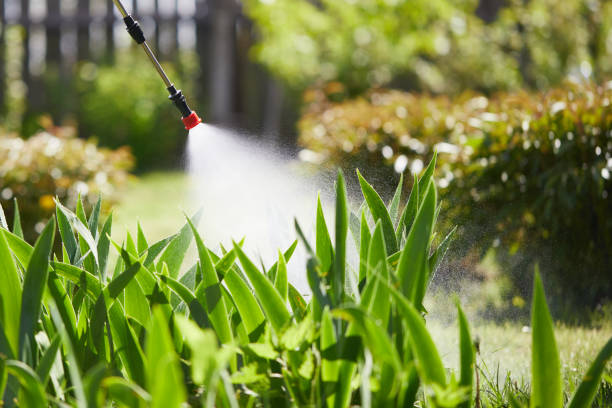 24/7 Emergency Fumigation Services experts in Koloa, HI