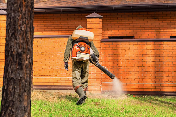 Trusted Cockroach Control service in Koloa, HI - Nex Pest Control